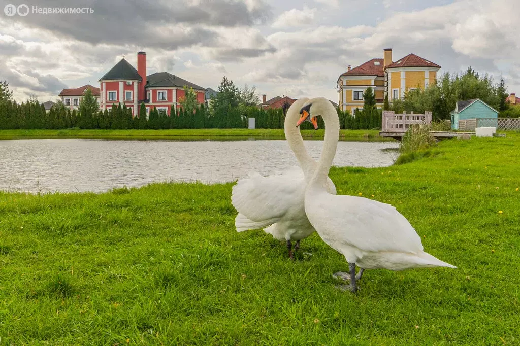 Дом в городской посёлок Фёдоровское, Успешная улица, 5 (228 м) - Фото 1