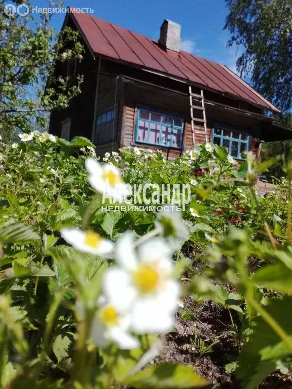 Дом в Выборгский район, Высоцкое городское поселение, остров Передовик ... - Фото 1