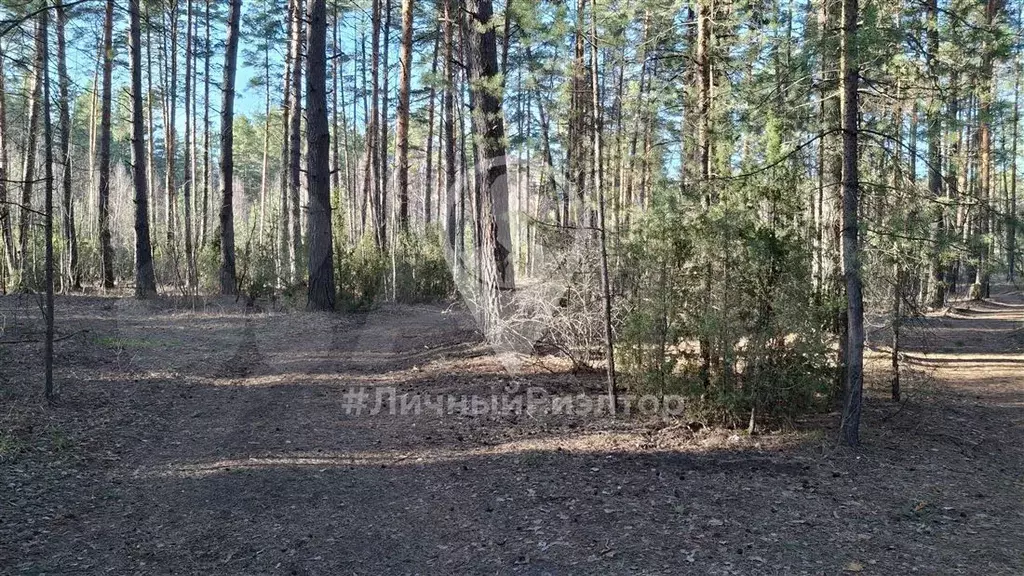 Участок 8,7 сот. (СНТ, ДНП) - Фото 1