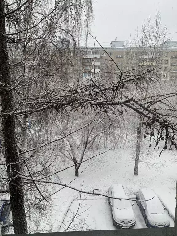 1-к кв. Новосибирская область, Новосибирск Рельсовая ул., 8/1 (31.0 м) - Фото 2