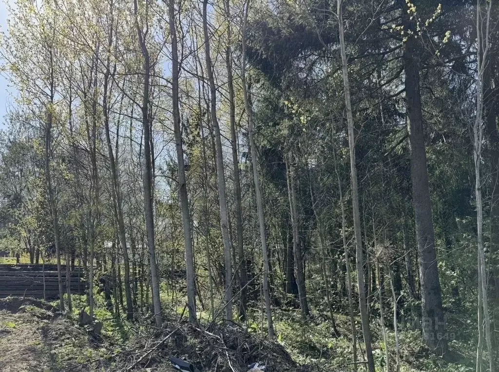 Участок в Московская область, Дмитровский муниципальный округ, д. ... - Фото 1