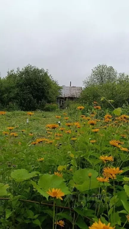 Участок в Башкортостан, Октябрьский Луч СНТ,  (8.0 сот.) - Фото 0