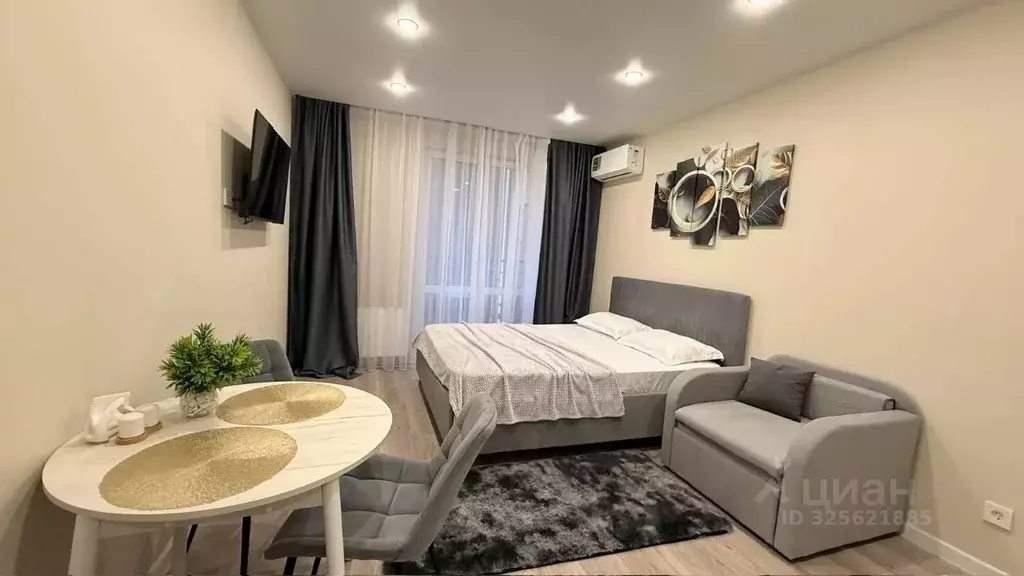 Студия Краснодарский край, Сочи ул. Искры, 88к3 (29.0 м) - Фото 1