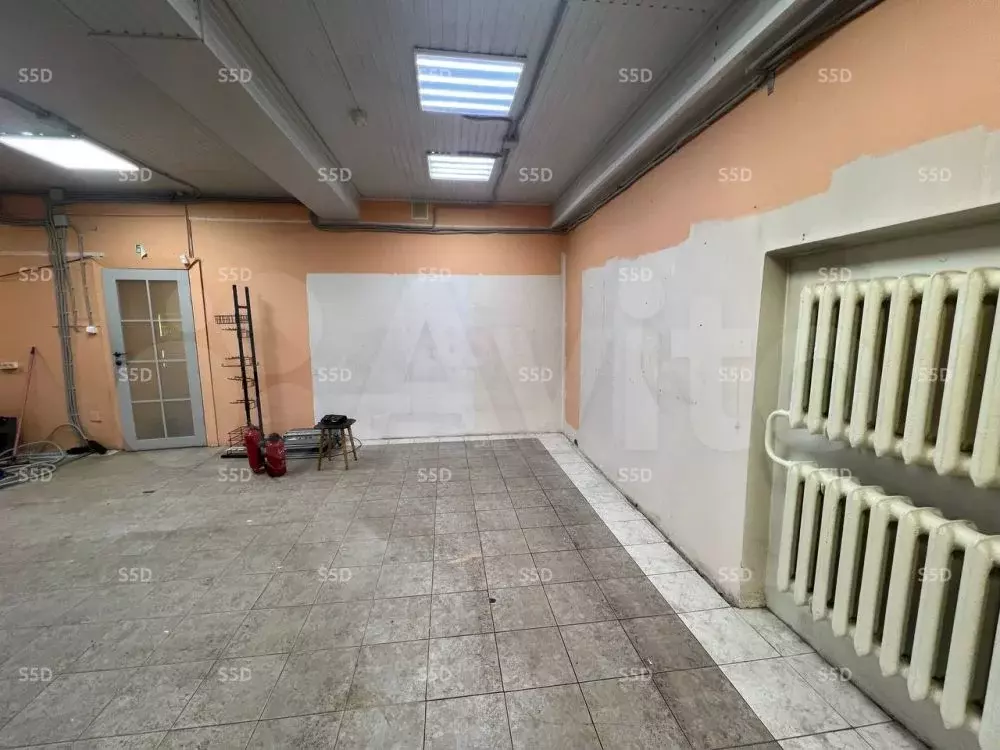 Сдам помещение свободного назначения, 57 м - Фото 1