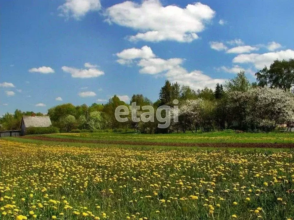 Участок в Владимирская область, Муром с. Ковардицы, ул. 4-я Садовая ... - Фото 1