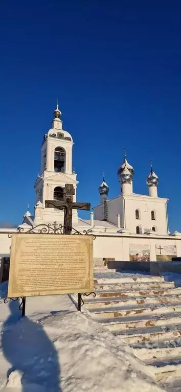 Дом в Ивановская область, Ильинский район, Ивашевское с/пос  (49 м) - Фото 1
