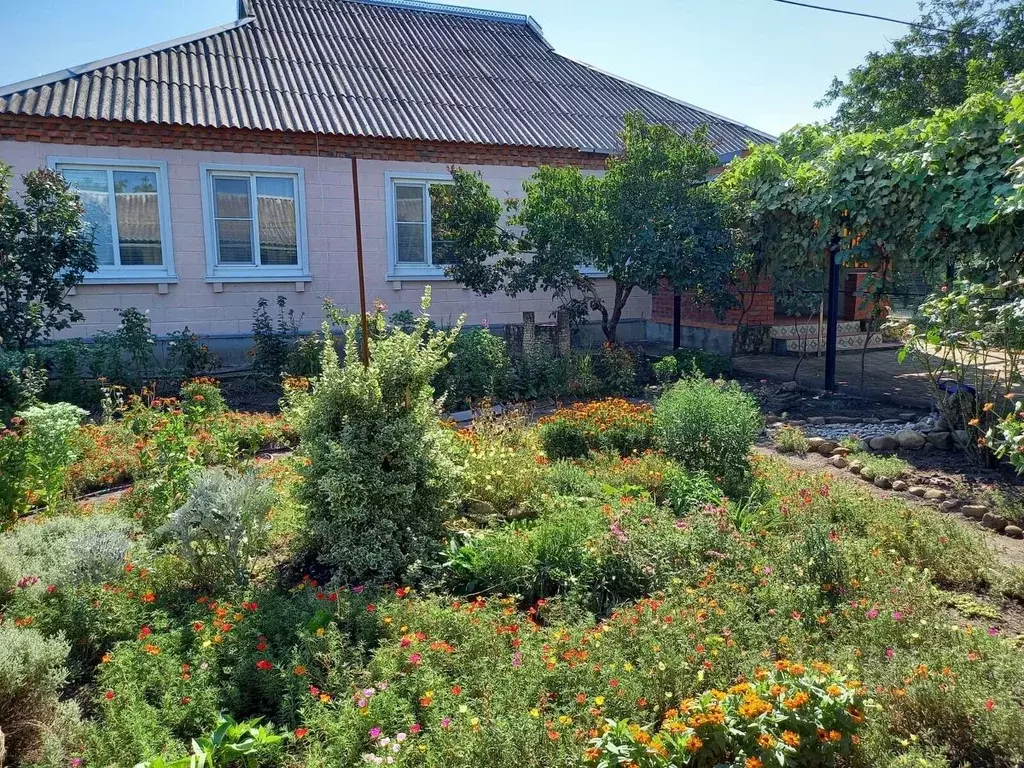 Дом в Краснодарский край, Красноармейский район, Новомышастовское ... - Фото 2