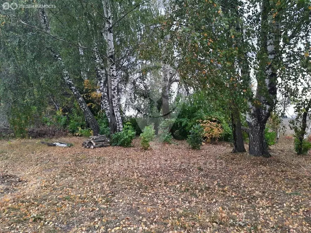 Участок в Рязанский район, Окское сельское поселение, село Вышетравино ... - Фото 0