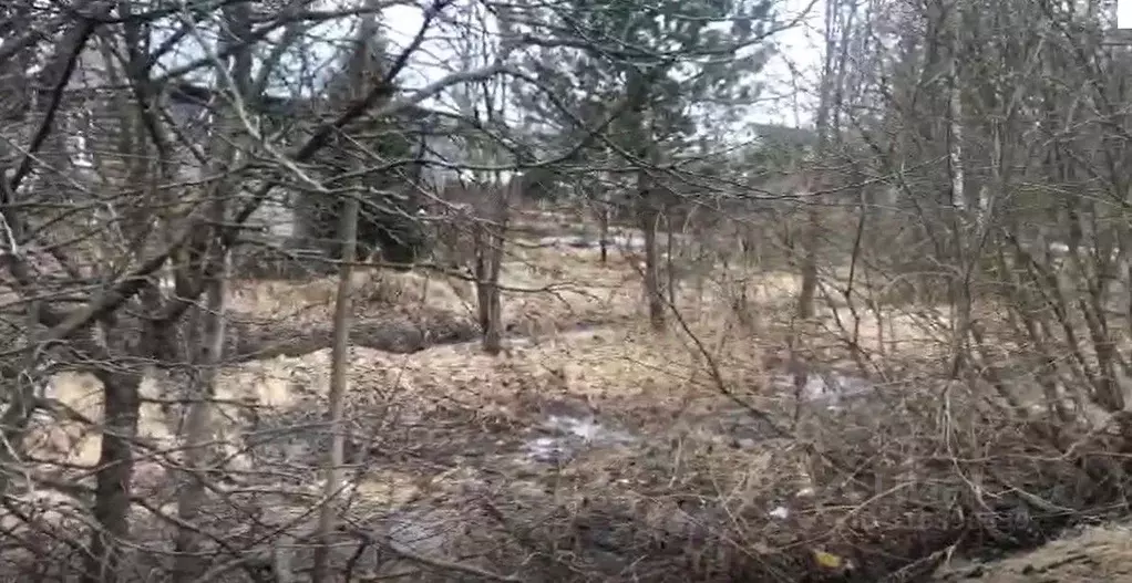 Участок в Московская область, Можайский муниципальный округ, пос. ... - Фото 0
