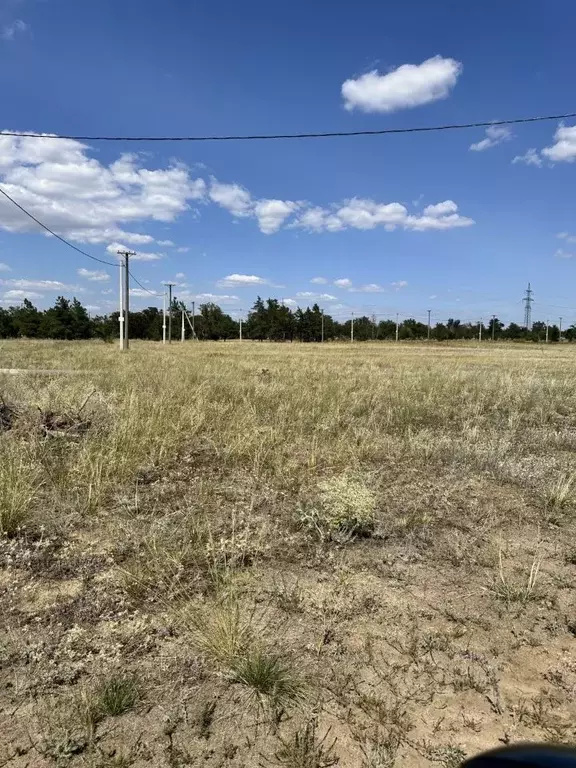 Участок в Волгоградская область, Городищенский район, Царицынское ... - Фото 1