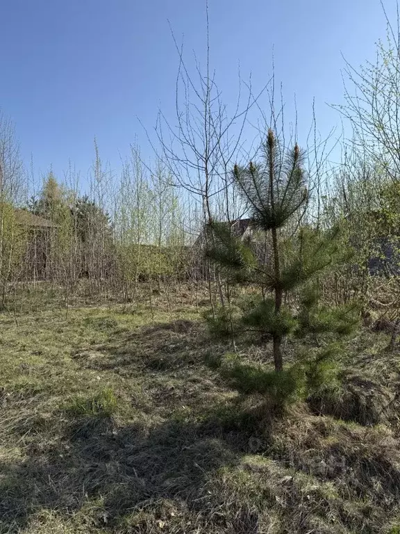Участок в Московская область, Раменский муниципальный округ, Кратово ... - Фото 0