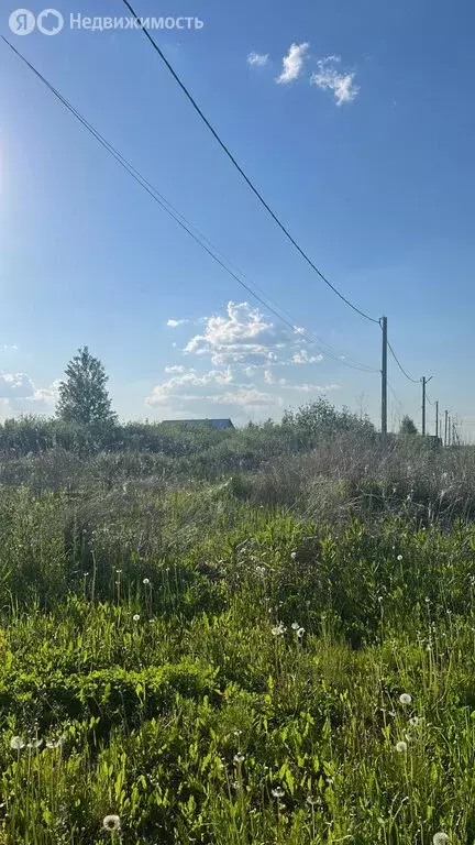 Участок в Ялуторовск, улица Генерала Уварова, 43 (17.5 м) - Фото 0