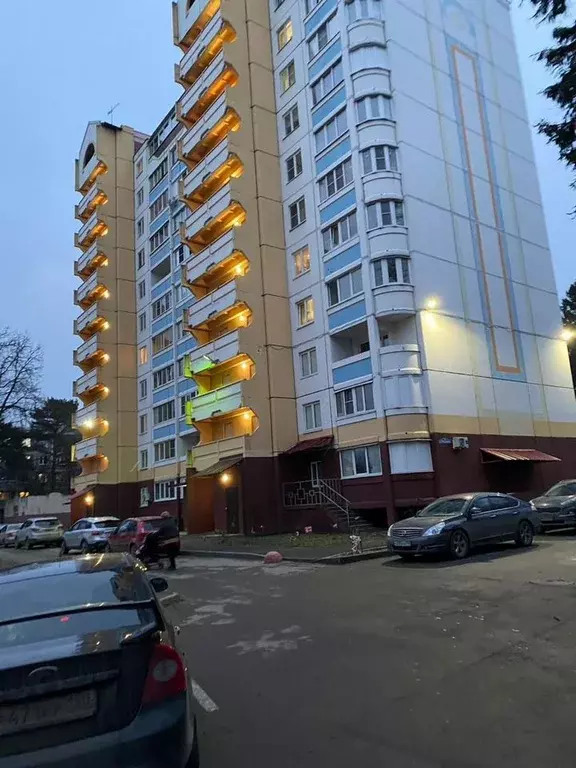 Студия Московская область, Ногинск Богородский городской округ, ул. ... - Фото 1