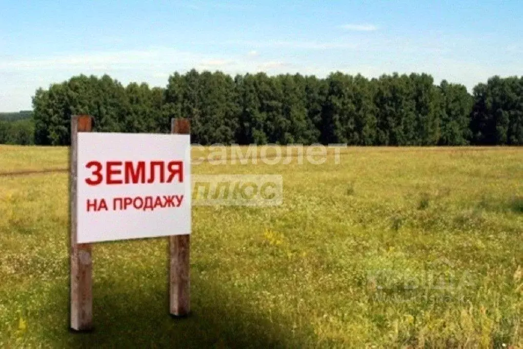 Участок в Марий Эл, Медведевский район, Азановское с/пос, д. Выползово ... - Фото 1