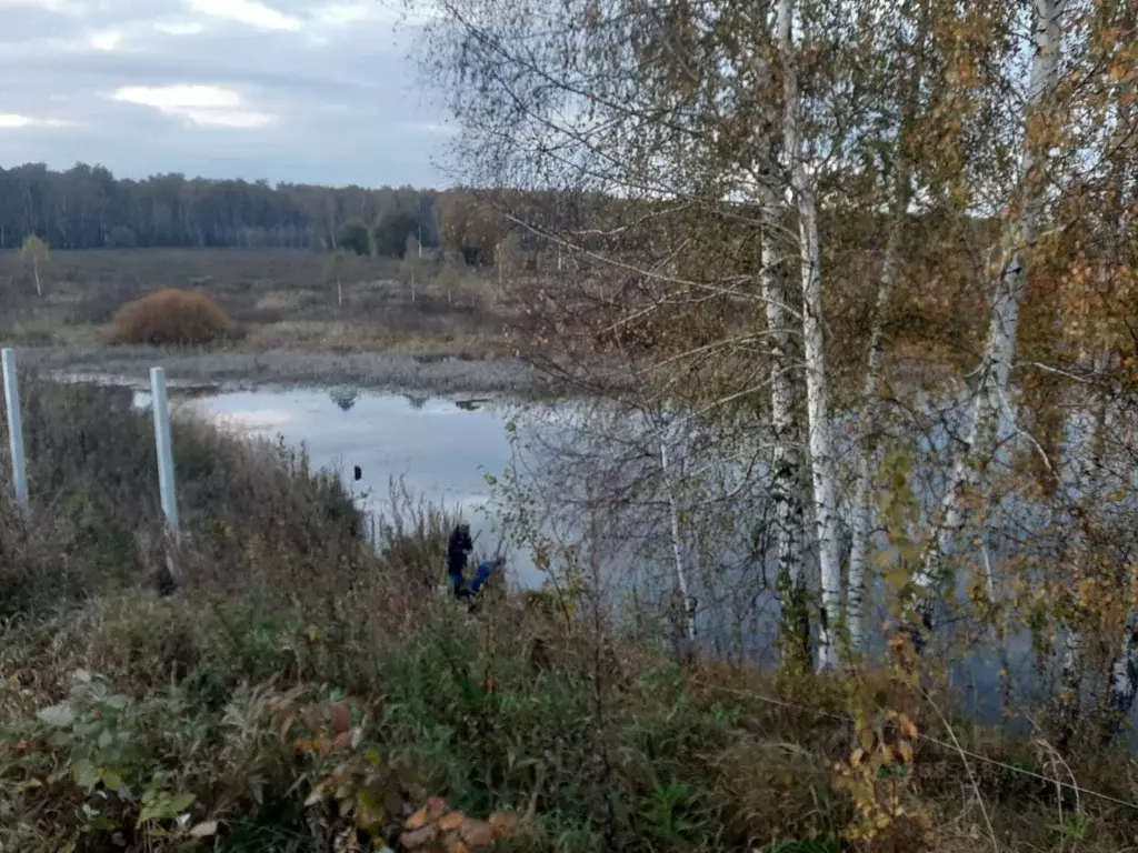 Участок в Московская область, Ступино городской округ, Ясные Зори-3 дп ... - Фото 1