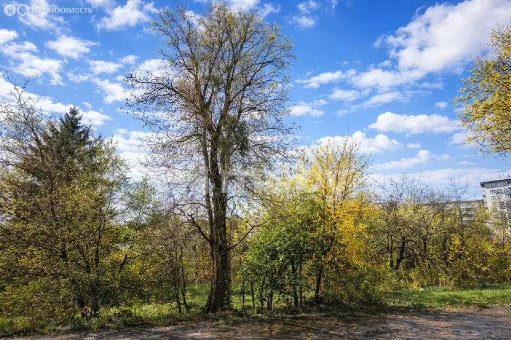 Участок в Калининград (7 м) - Фото 1