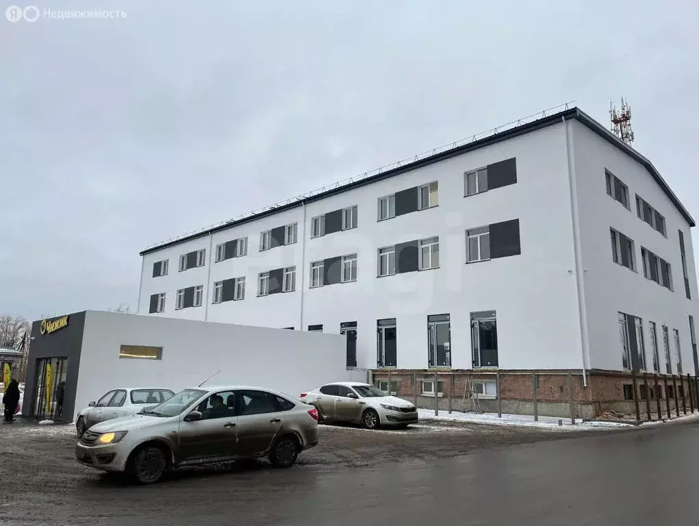 Торговая площадь (62.2 м) - Фото 2