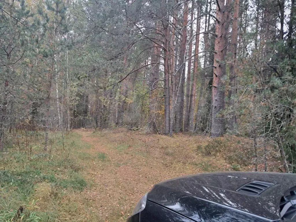 Участок 20 сот. (ИЖС) - Фото 1