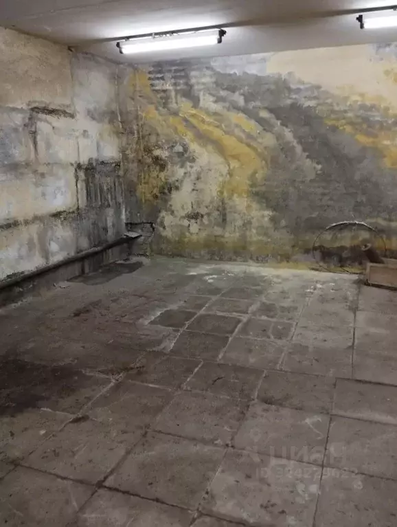 Помещение свободного назначения в Пензенская область, Заречный ул. ... - Фото 1