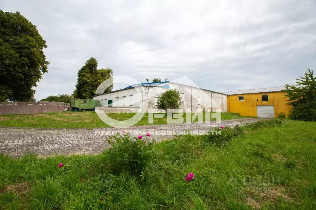 Участок в Калининградская область, Зеленоградский муниципальный округ, ... - Фото 2