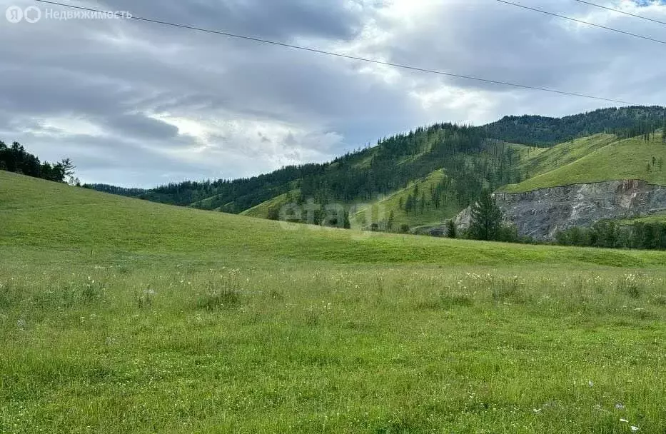 Участок в Шебалинский район, село Дъектиек (13.3 м) - Фото 1