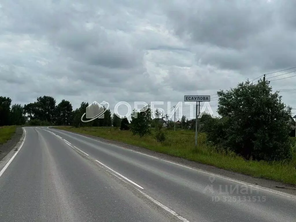 Участок в Тюменская область, Тюменский муниципальный округ, д. ... - Фото 1