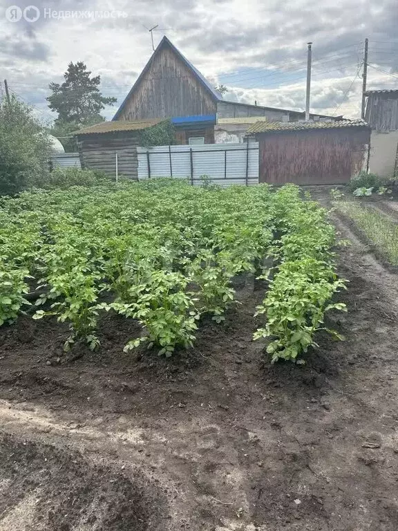 Дом в Ишим, Коркинская улица (32.6 м) - Фото 0