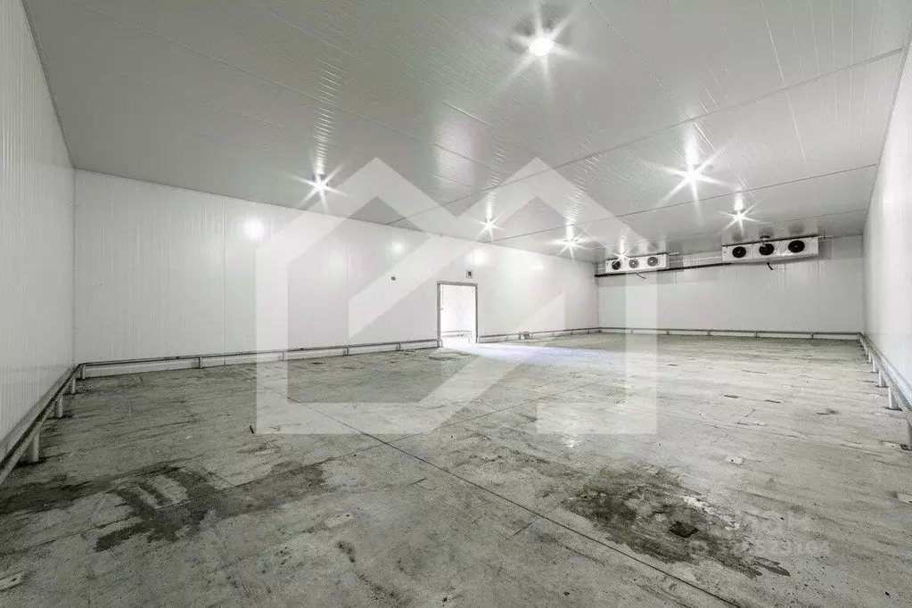 Помещение свободного назначения в Московская область, Раменское ул. ... - Фото 1