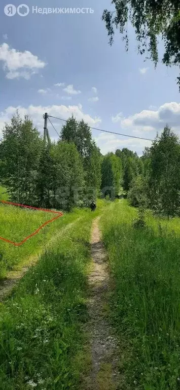Участок в Челябинская область, Кусинский муниципальный округ, рабочий ... - Фото 1