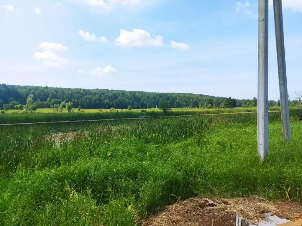 Участок в Тульская область, Ясногорский район, Иваньковское с/пос, ... - Фото 2