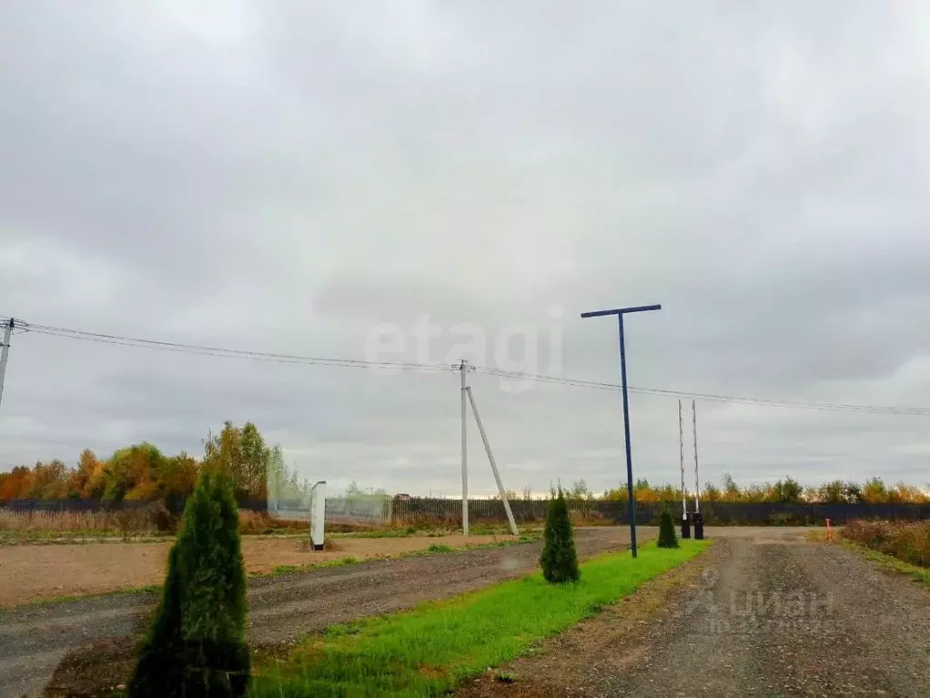 Участок в Ярославская область, Тутаевский муниципальный округ, д. ... - Фото 1