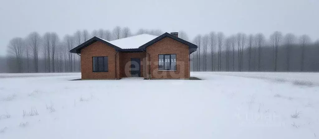 Дом в Тульская область, Тула городской округ, д. Прудное ул. Научная ... - Фото 1