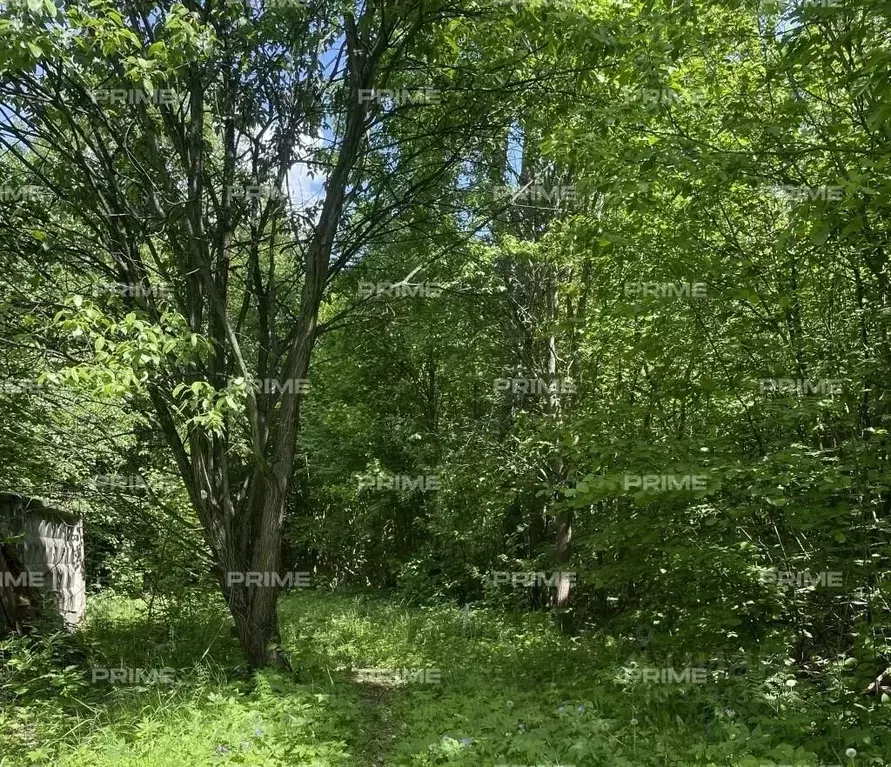 Участок в Московская область, Звенигород Одинцовский городской округ, ... - Фото 1