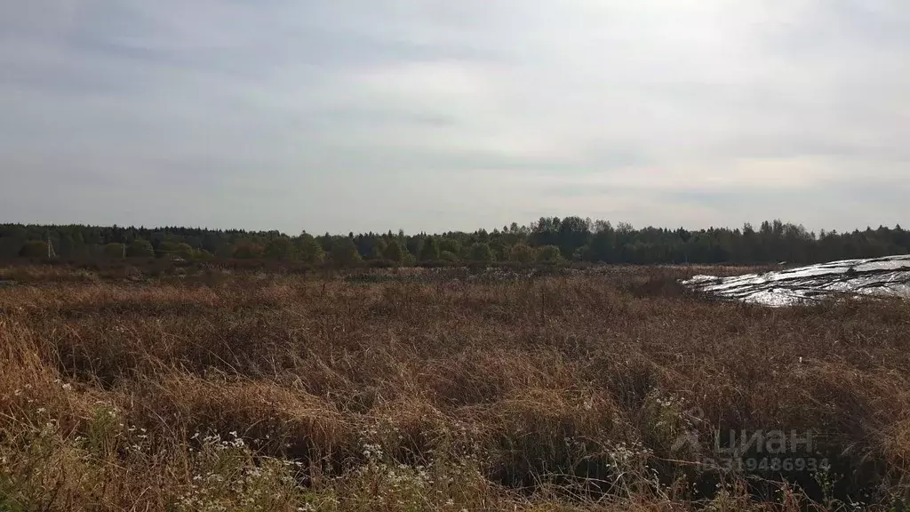 Участок в Московская область, Сергиево-Посадский городской округ, д. ... - Фото 1