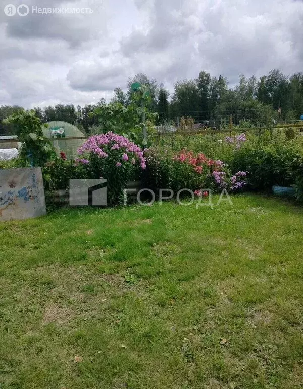 Участок в Новосибирск, НМЗ Искра (6.5 м) - Фото 1