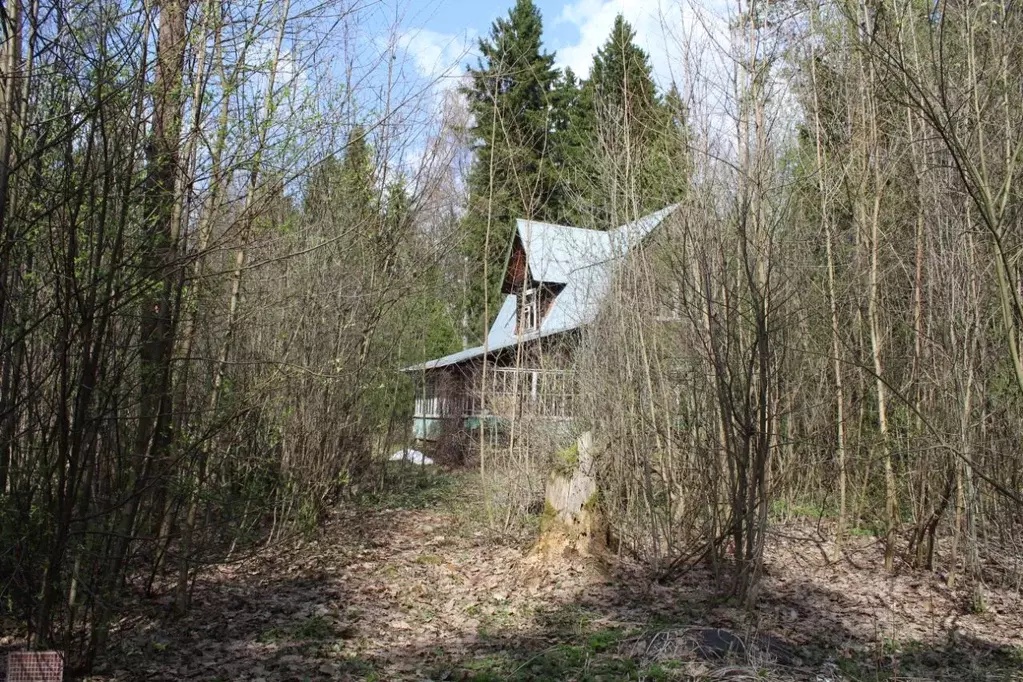Участок в Московская область, Пушкинский городской округ, ... - Фото 1