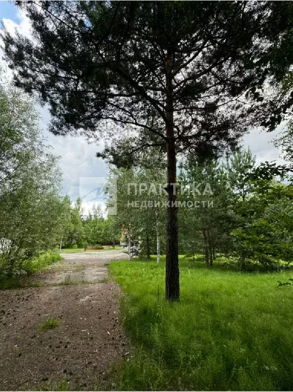 Продается участок в пгт Ильинский - Фото 1