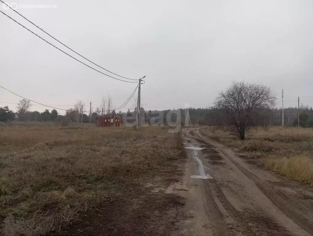 Участок в Хвощеватка, Васильковая улица (10 м) - Фото 2