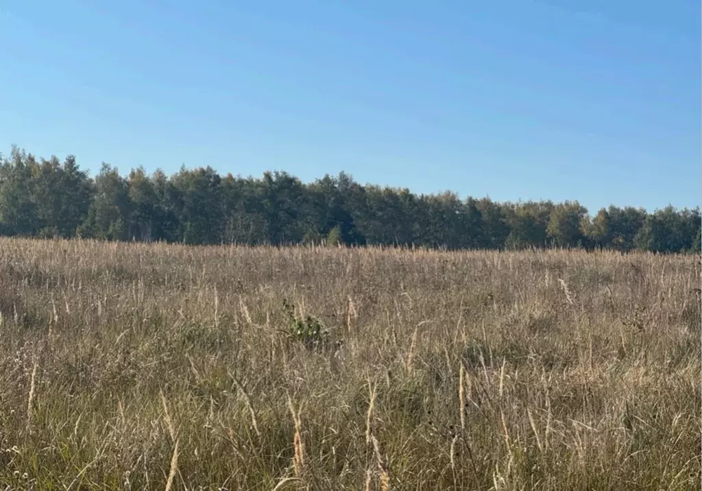 Участок в Московская область, Кашира городской округ, пос. Богатищево  ... - Фото 1