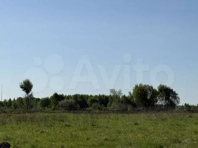 Участок 9 сот. (СНТ, ДНП) - Фото 0