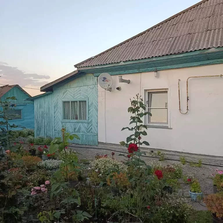 Дом в Новосибирская область, Новосибирский район, Каменский сельсовет, ... - Фото 1