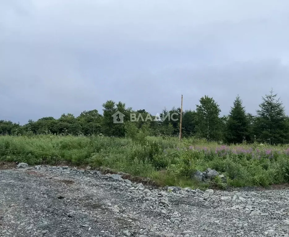 Участок в Сахалинская область, Анивский городской округ, с. Мицулевка ... - Фото 1