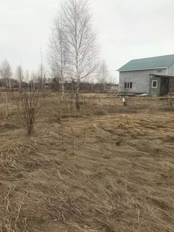 Купить Земельный Участок В Верх Туле Новосибирской