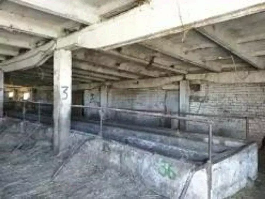 Участок в Волгоградская область, Новониколаевский район, Комсомольское ... - Фото 1