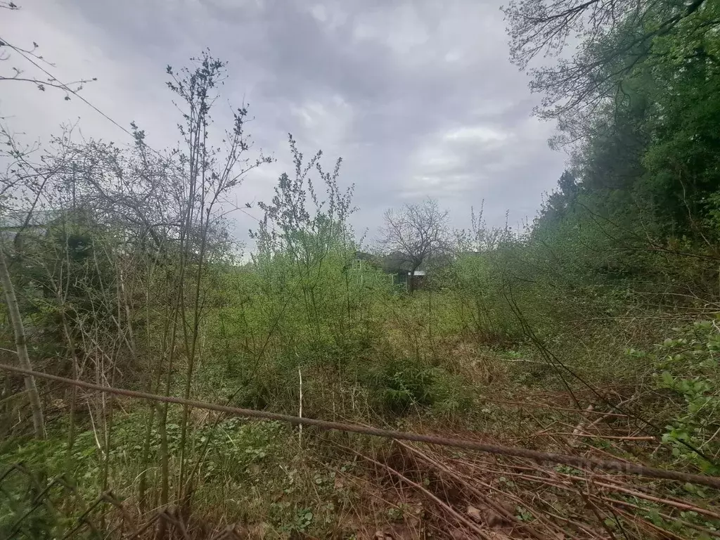 Участок в Московская область, Солнечногорск городской округ, Сад ... - Фото 2