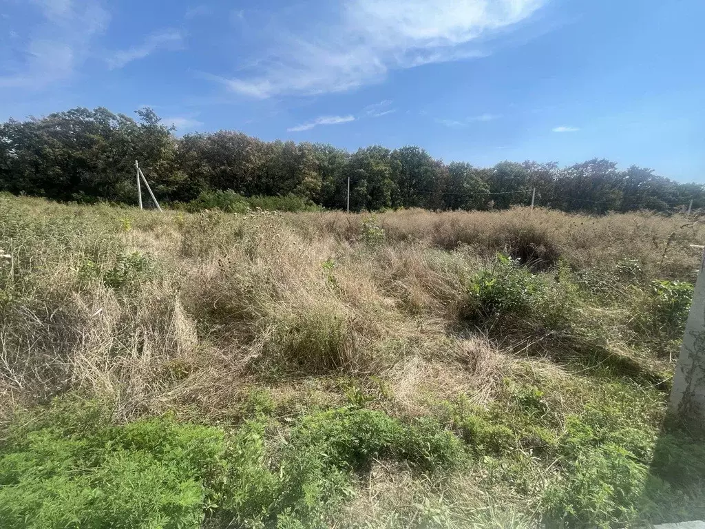 Участок в Адыгея, Тахтамукайский район, Старобжегокайское с/пос, Новая ... - Фото 2