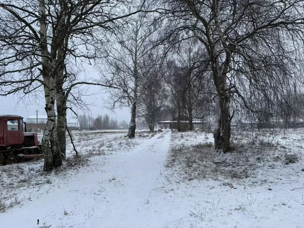 Участок в Московская область, Дмитровский муниципальный округ, с. ... - Фото 0