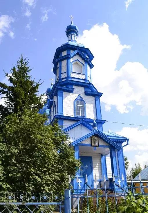 Участок в Тамбовская область, Знаменский муниципальный округ, с. ... - Фото 1