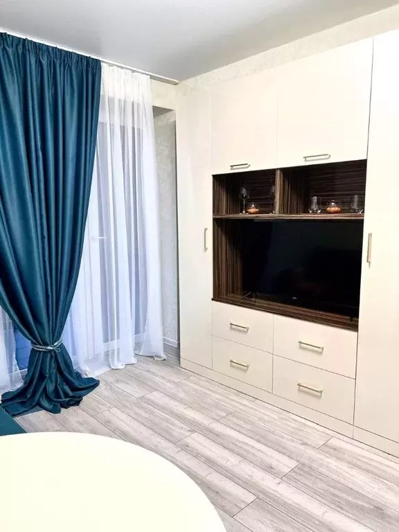 Студия Краснодарский край, Сочи городской округ, Дагомыс пгт ул. ... - Фото 0