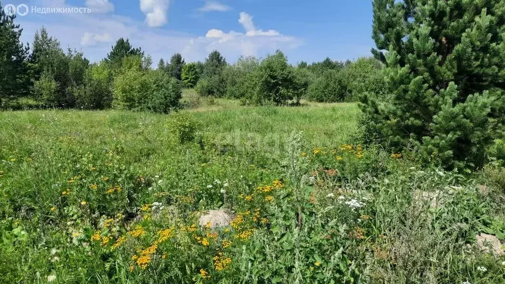 Участок в Свердловская область, Камышлов (10.1 м) - Фото 0